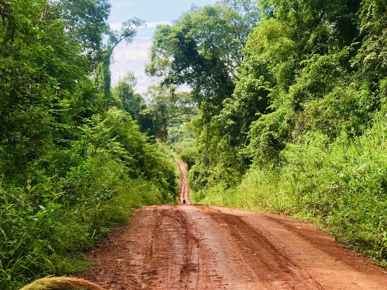 Camino de tierra roja en la selva de Misiones